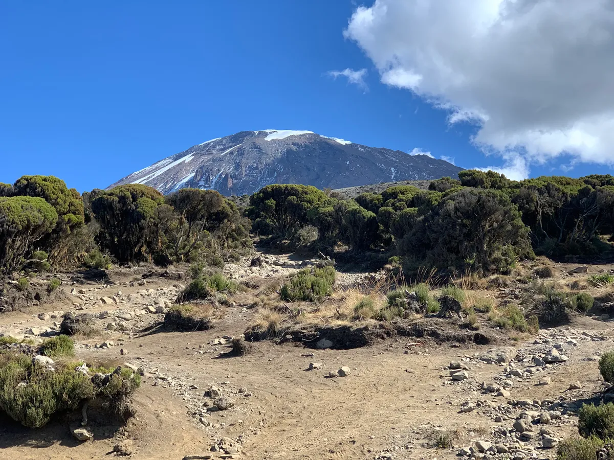 Millenium tábor (3820 m) – Mweka kapu (1630 m) – Moshi