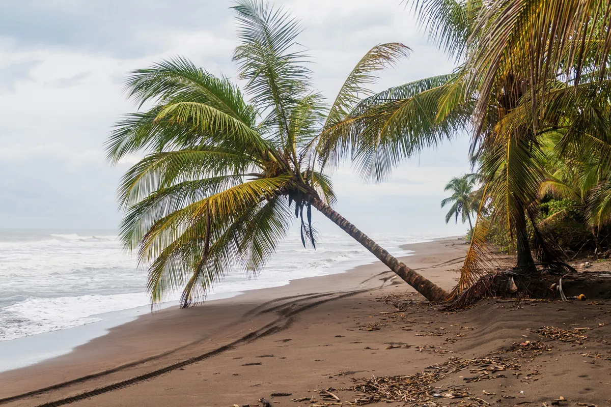 Puerto Viejo – Tortuguero Nemzeti Park