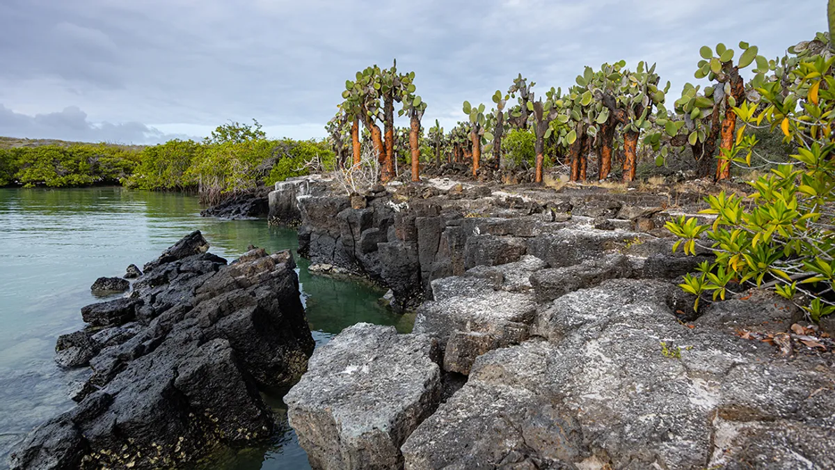 Isabela-sziget – Könnyek Fala – Cabo Rosa-lávacsatornák