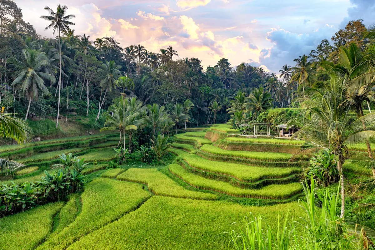 Jáva: Banyuwangi – kompozás – Bali: Gilimanuk – Ubud