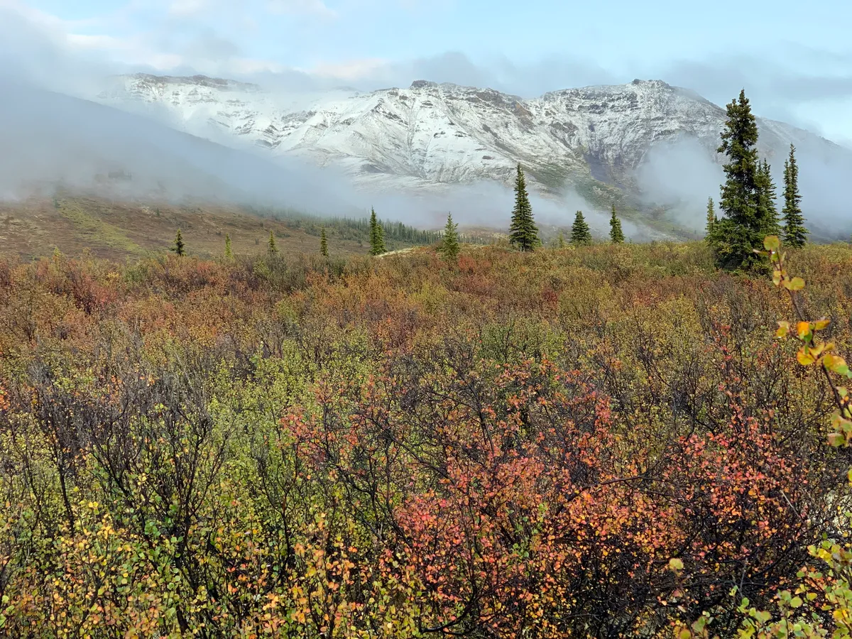 Eagle Plains – Dempster Highway – Északi-sarkkör – Északnyugati területek: Inuvik