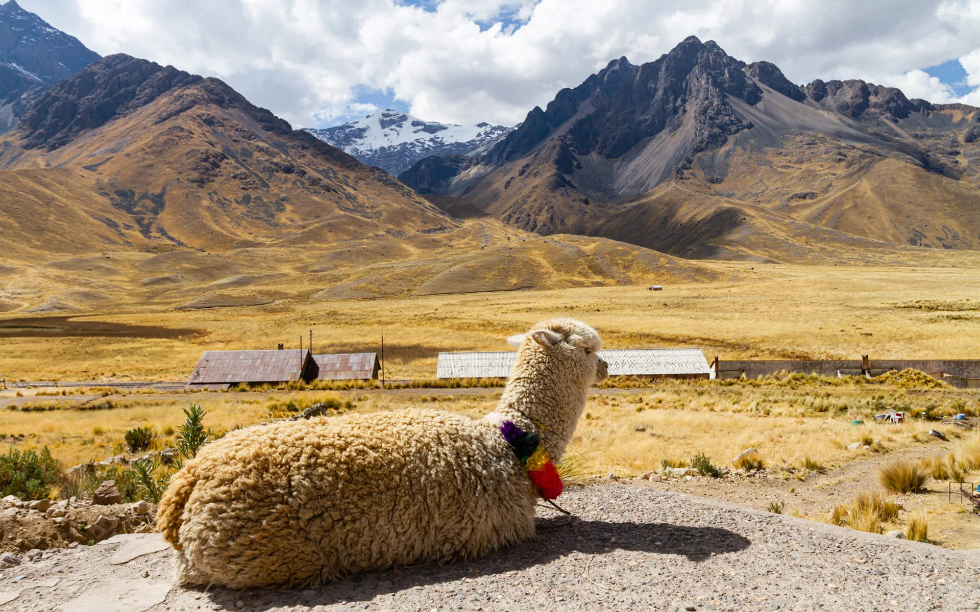 Galápagos-szigetek, Amazónia, Peru, Tiwanaku – Pachamama kalandtúra - 20. rész