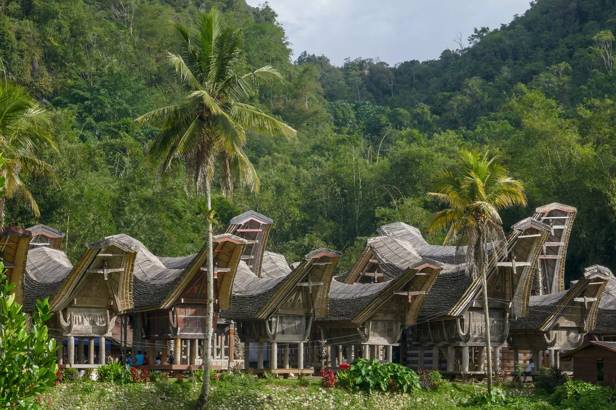 Celebesz: Toradzsaföld – Rantepao – Palopo – Makassar – Menado