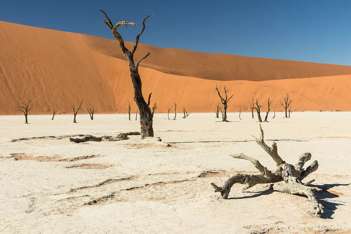 Namíb-sivatag – 45. számú dűne – Sossusvlei – Swakopmund