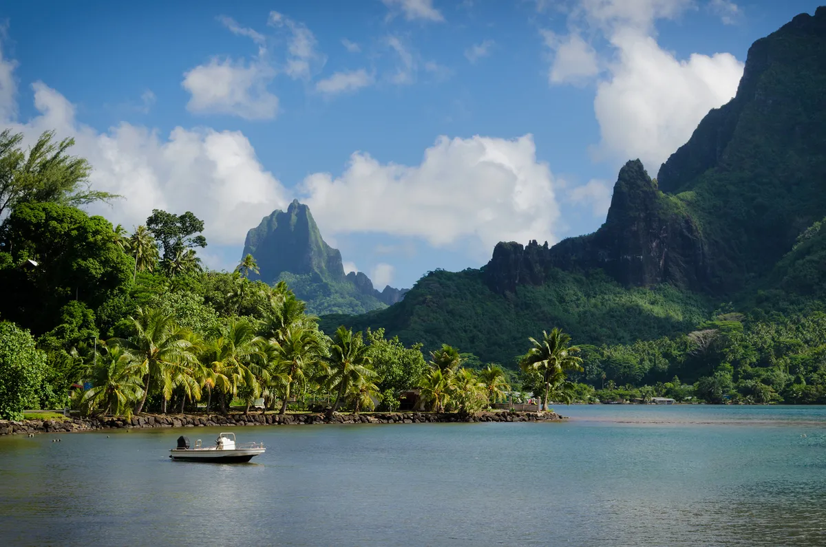 Tahiti sziget – Moorea sziget –  hajókirándulás bálnalessel – tengerpart, rája etetés, sznorkel túra 