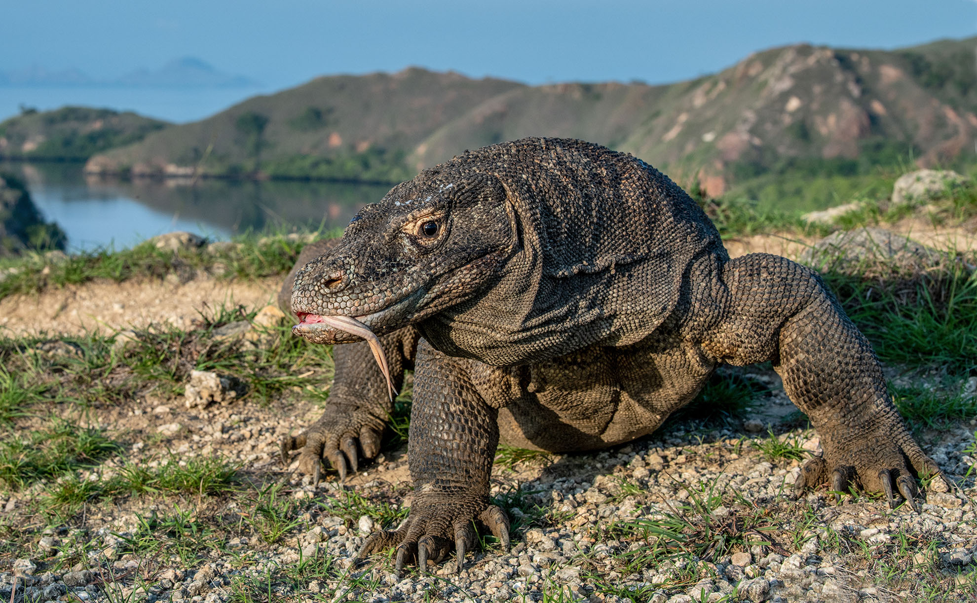 Indonézia – Jáva, Bali, Komodo kalandtúra