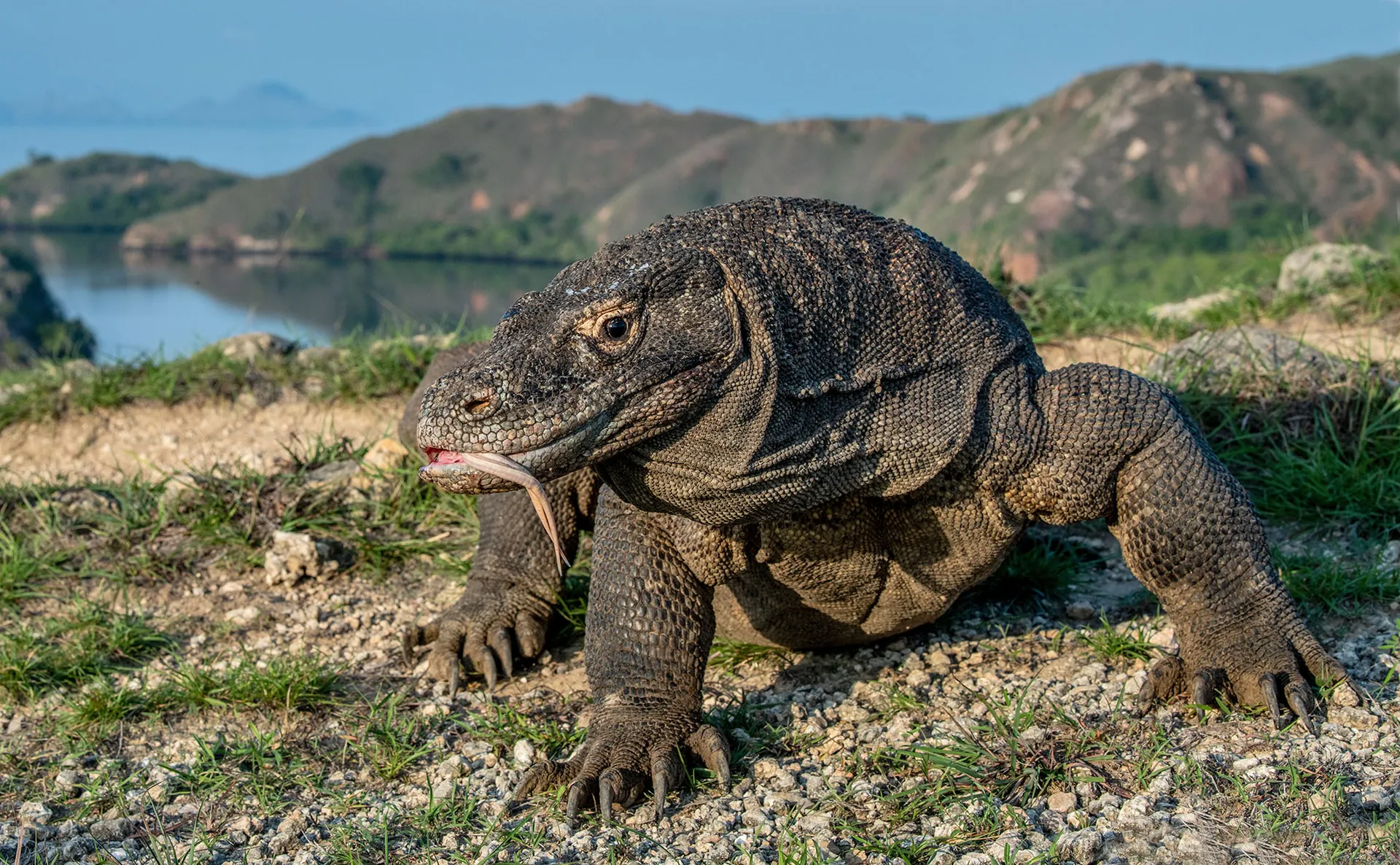 Indonézia – Jáva, Bali, Komodo kalandtúra