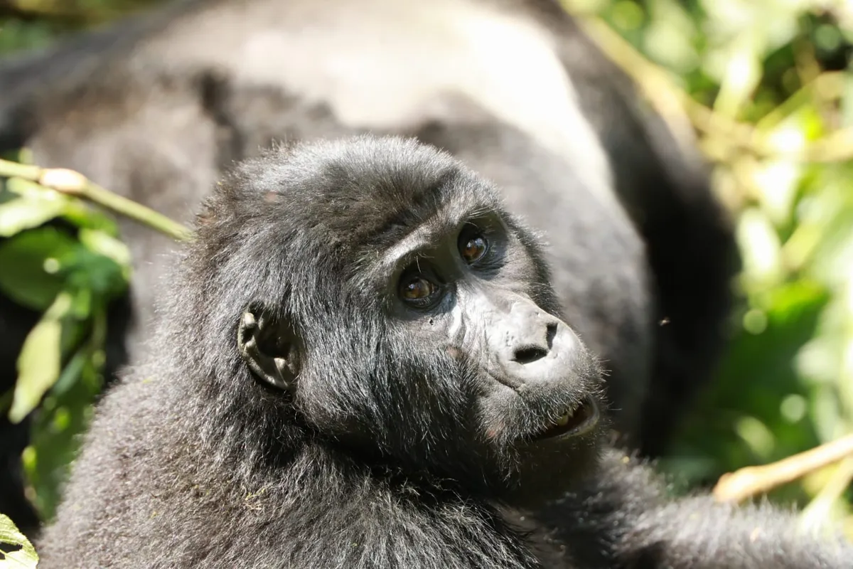 Uganda: Entebbe