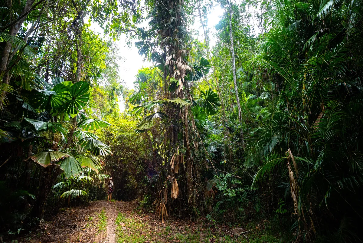 Darwin – Cairns