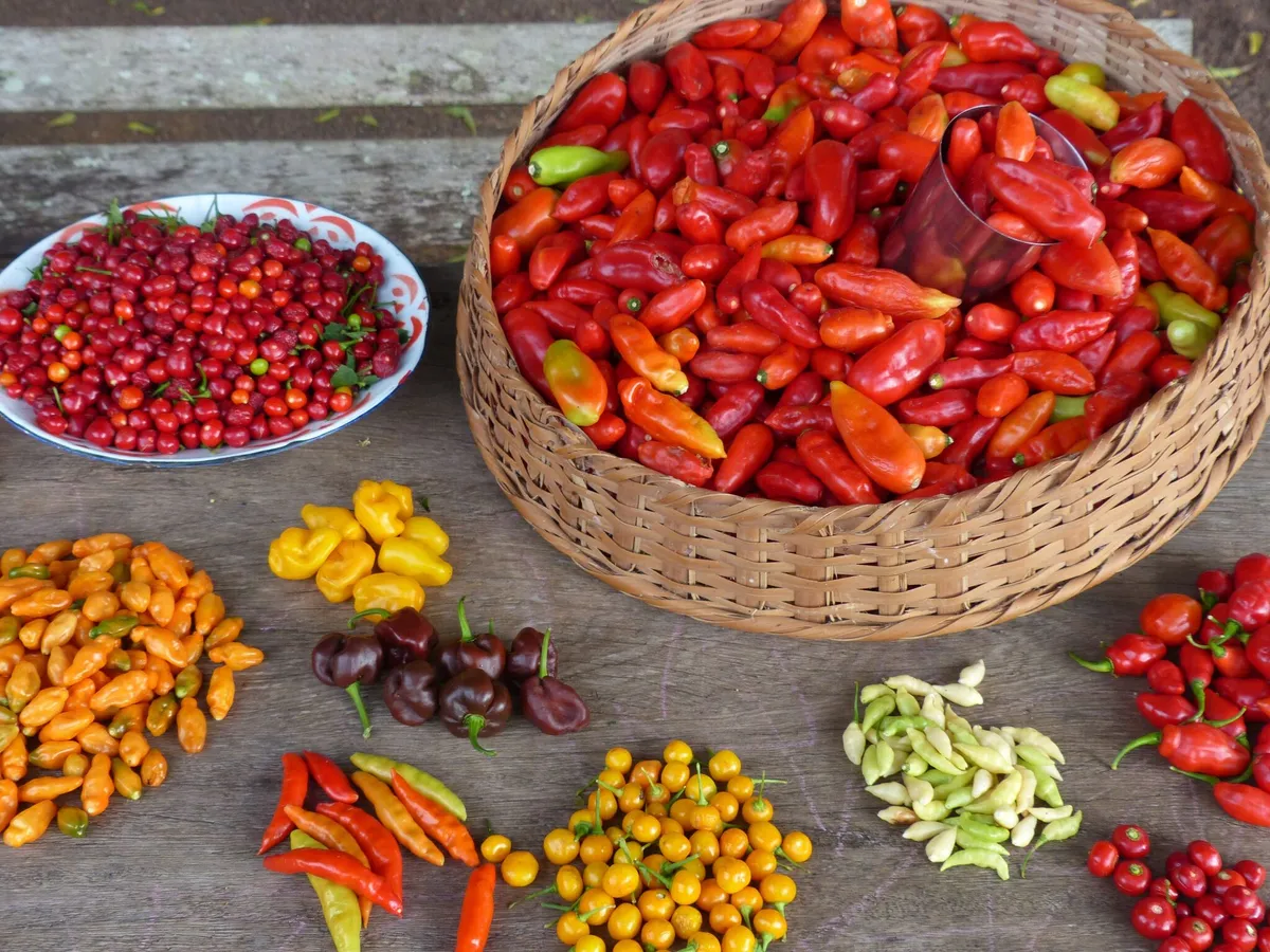 Guyana: Georgetown – Suriname: Paramaribo