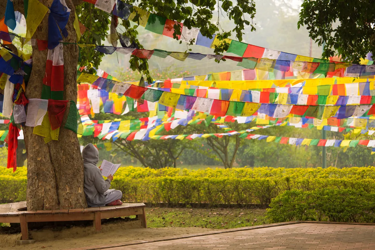 Chitwan Nemzeti Park – Lumbini