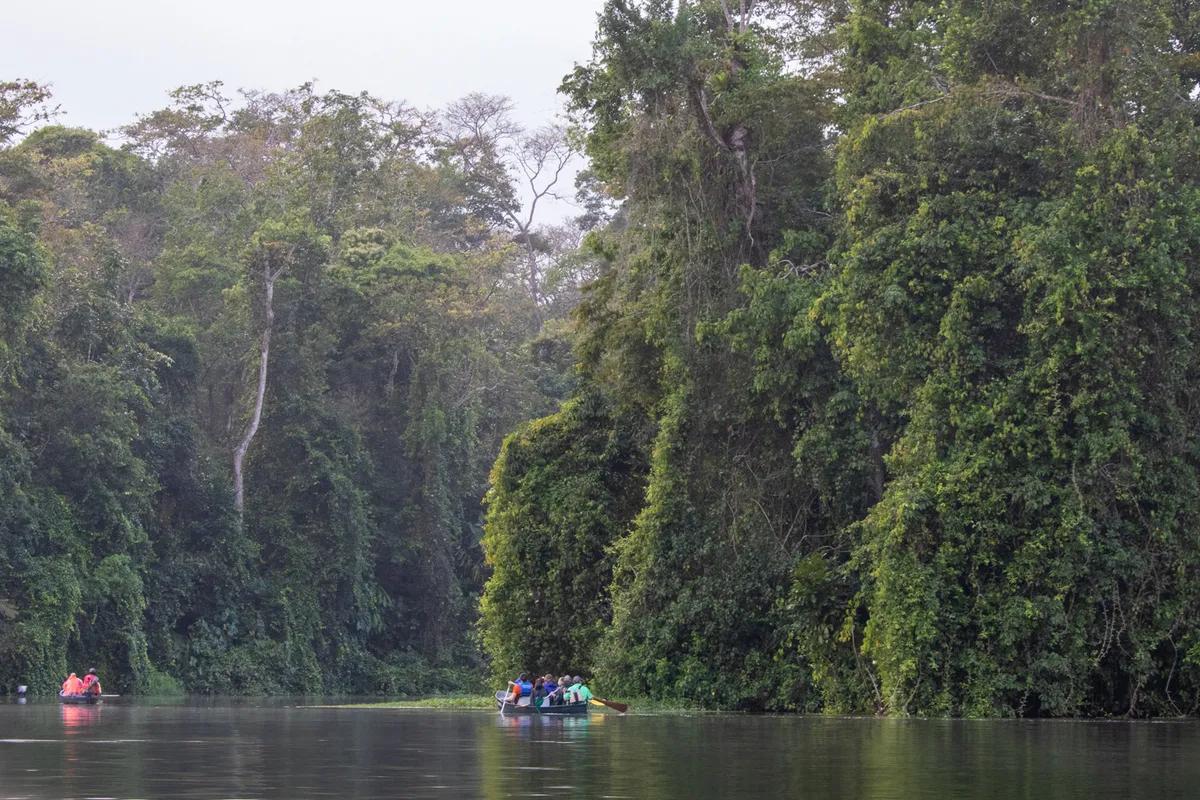 Tortuguero Nemzeti Park – motoros kenutúra a Tortuguero-csatornákon – Cerro Tortuguero
