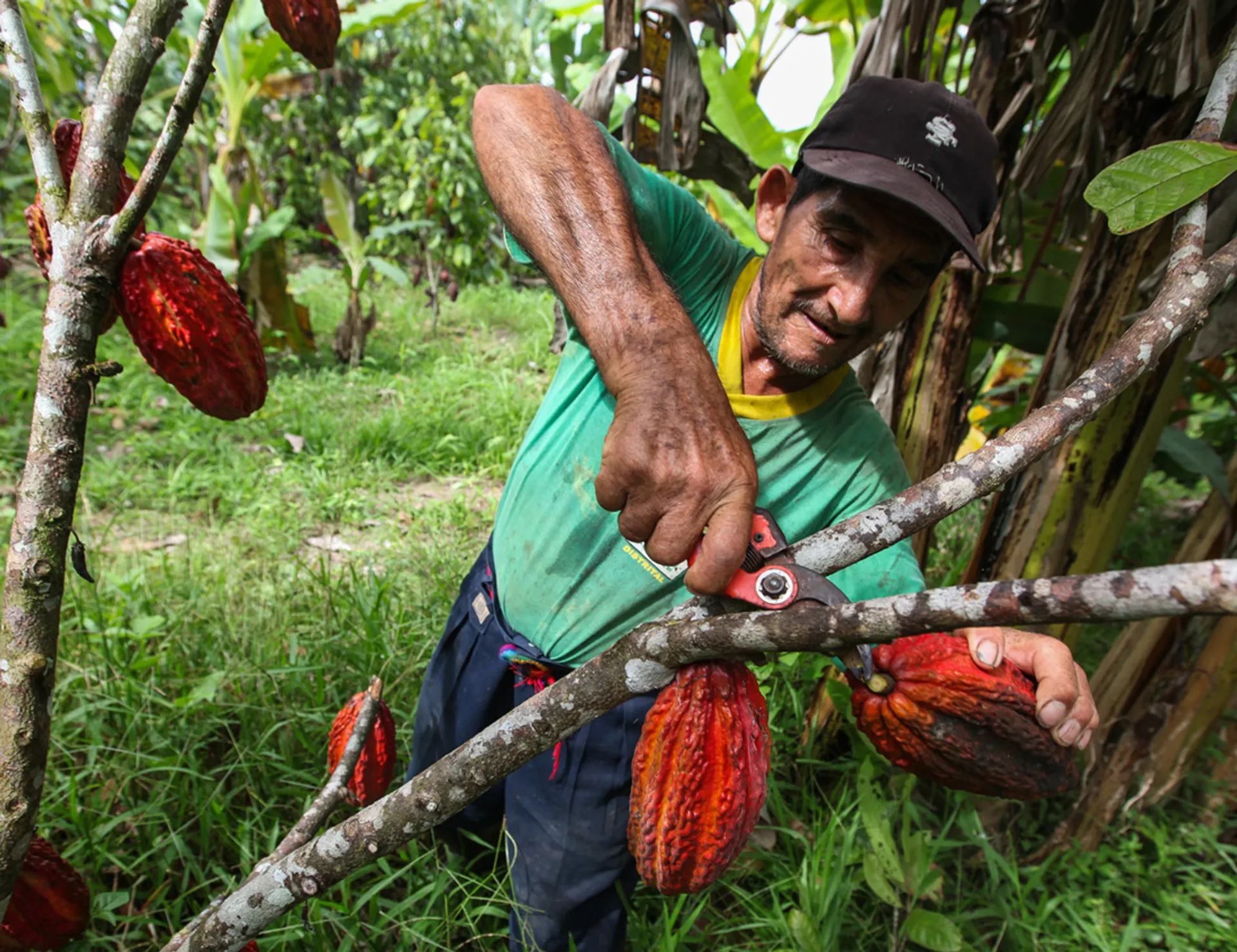 Peru – Inka dzsungeltúra