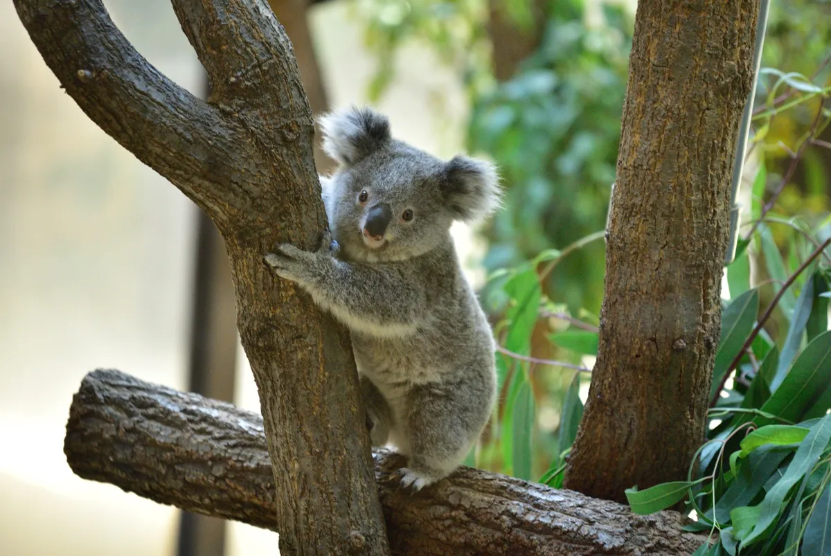 Adelaide – Port Lincoln