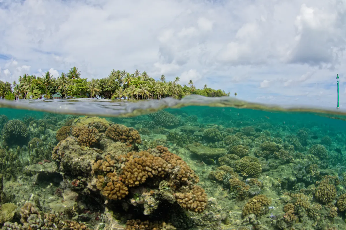 Raiatea sziget – Tahaa sziget hajókirándulás – korallkert – gyöngyfarm – vaníliaültetvény
