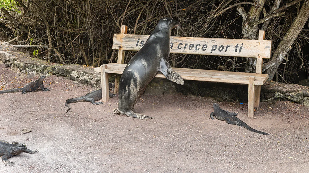 Quito – Galápagos-szigetek: Baltra-sziget – Isabela-sziget (óriásteknős nevelőközpont)