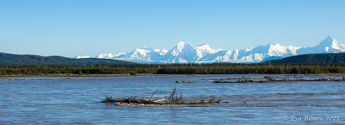 Denali Nemzeti Park – Delta Junction