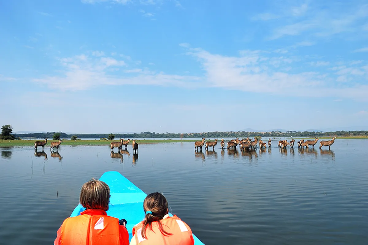 Maasai Mara vadrezervátum – Naivasha-tó – Elsamere Természetvédelmi Központ – Nakuru-tó
