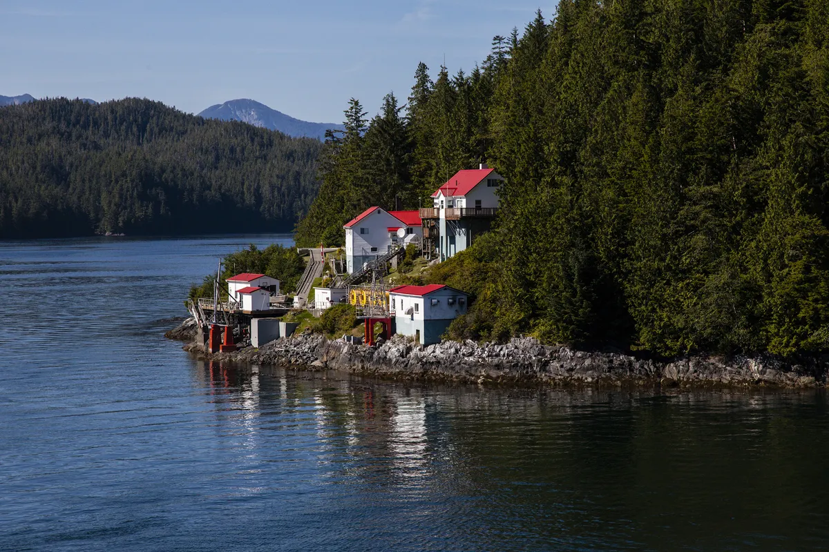 Whistler – Garibaldi Tartományi Park – Cheakamus-tó