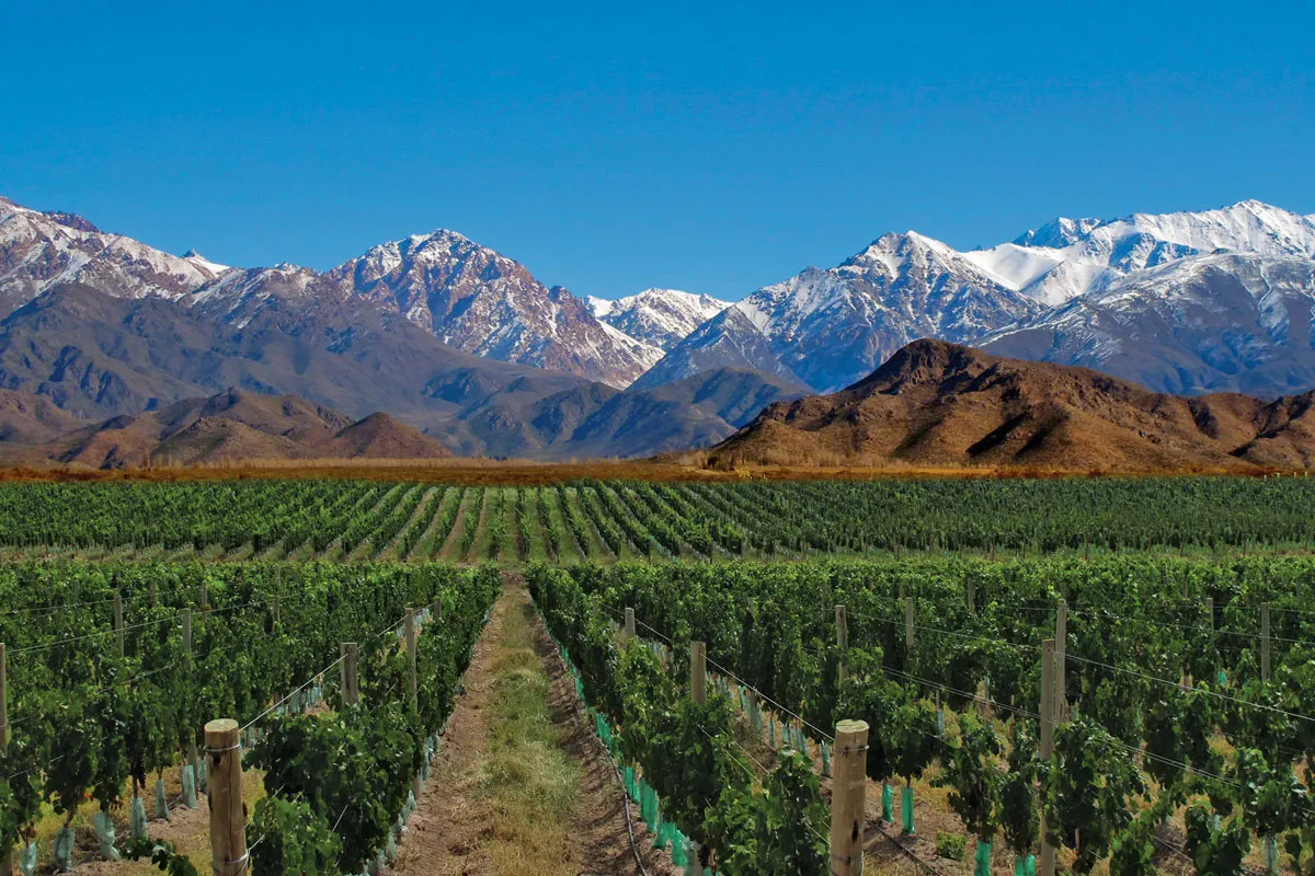 Buenos Aires – Mendoza – Vendimia szüreti fesztivál