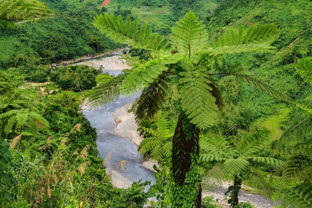 Fidzsi, Viti Levu-sziget: Namosi-felföld