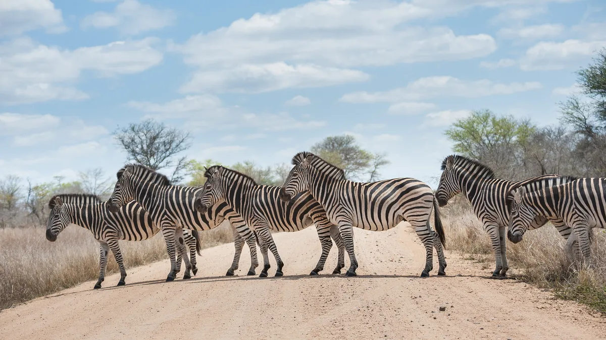 Addo Elefánt Nemzeti Park – Valley Of Desolation – Graaff-Reinet