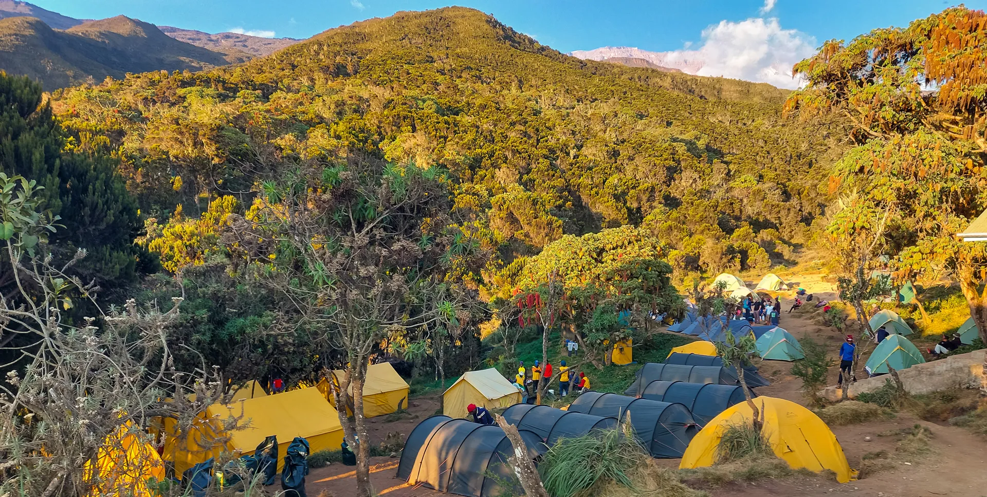 Megmásztam a Kilimandzsárót! – 1. nap: Machame kapu (1830 m) – Machame tábor (3030 m)