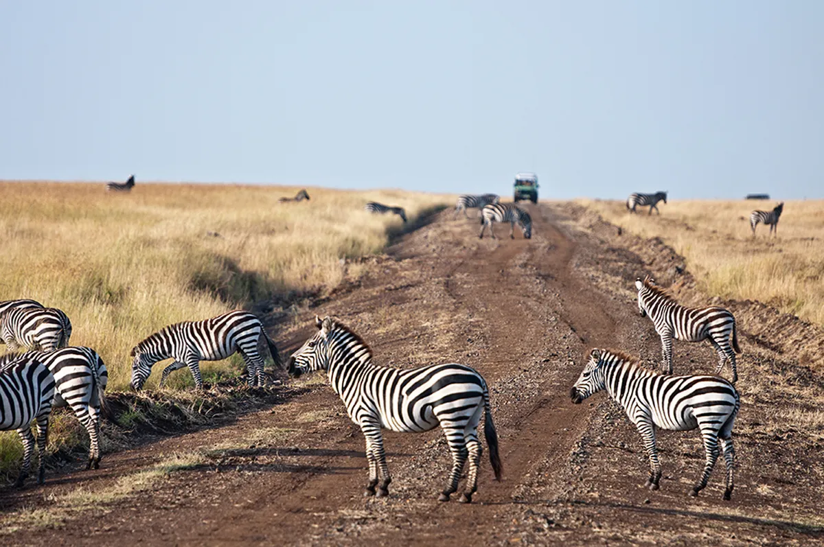 Ngorongoro kráter – Karatu