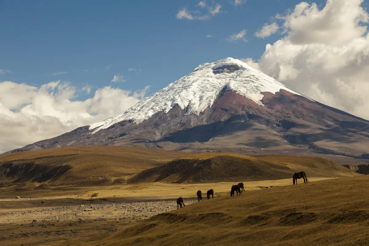 Cotopaxi Nemzeti Park  –  Jose Rivas menedékház (4800 m)