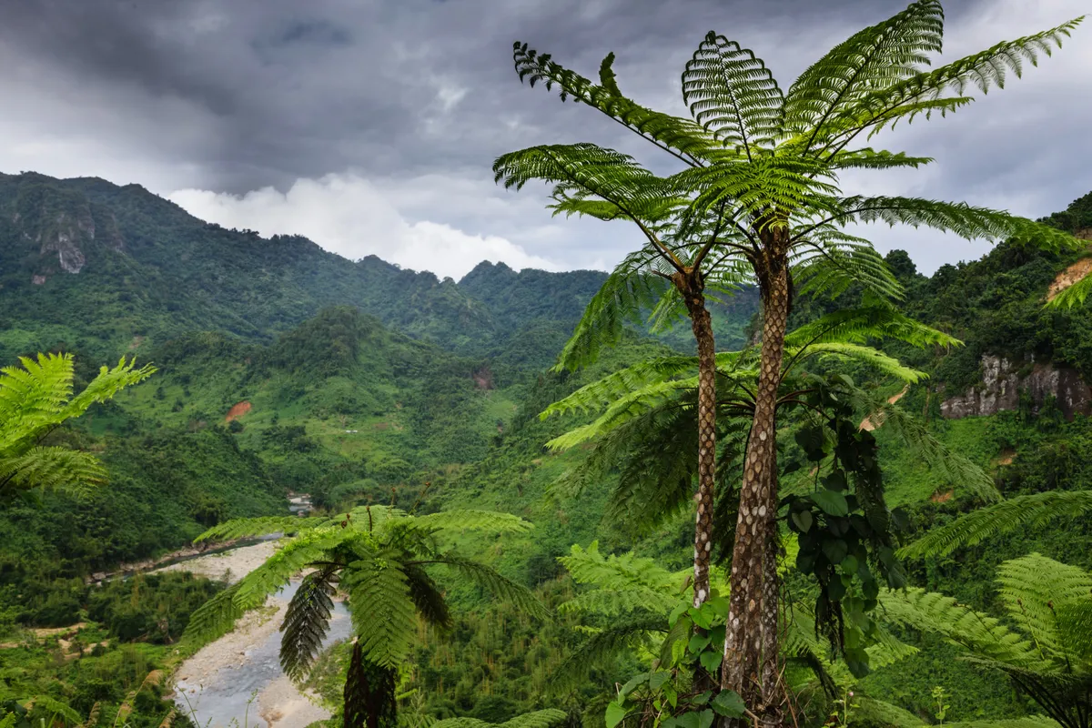 Fidzsi, Viti Levu-sziget: Vuda – Korotogo – Pacific Harbour – Namosi-felföld