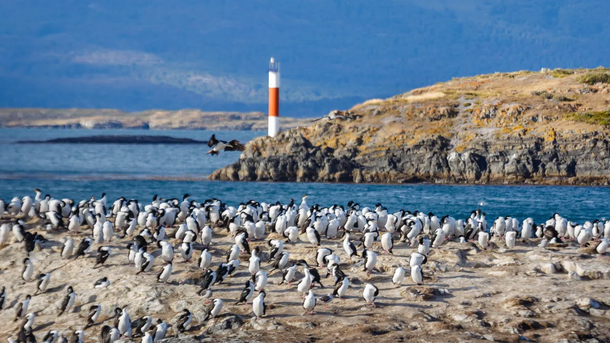 Ushuaia – Martial-hegy - Beagle-csatorna kilátópont túra – Beagle-csatorna hajókirándulás