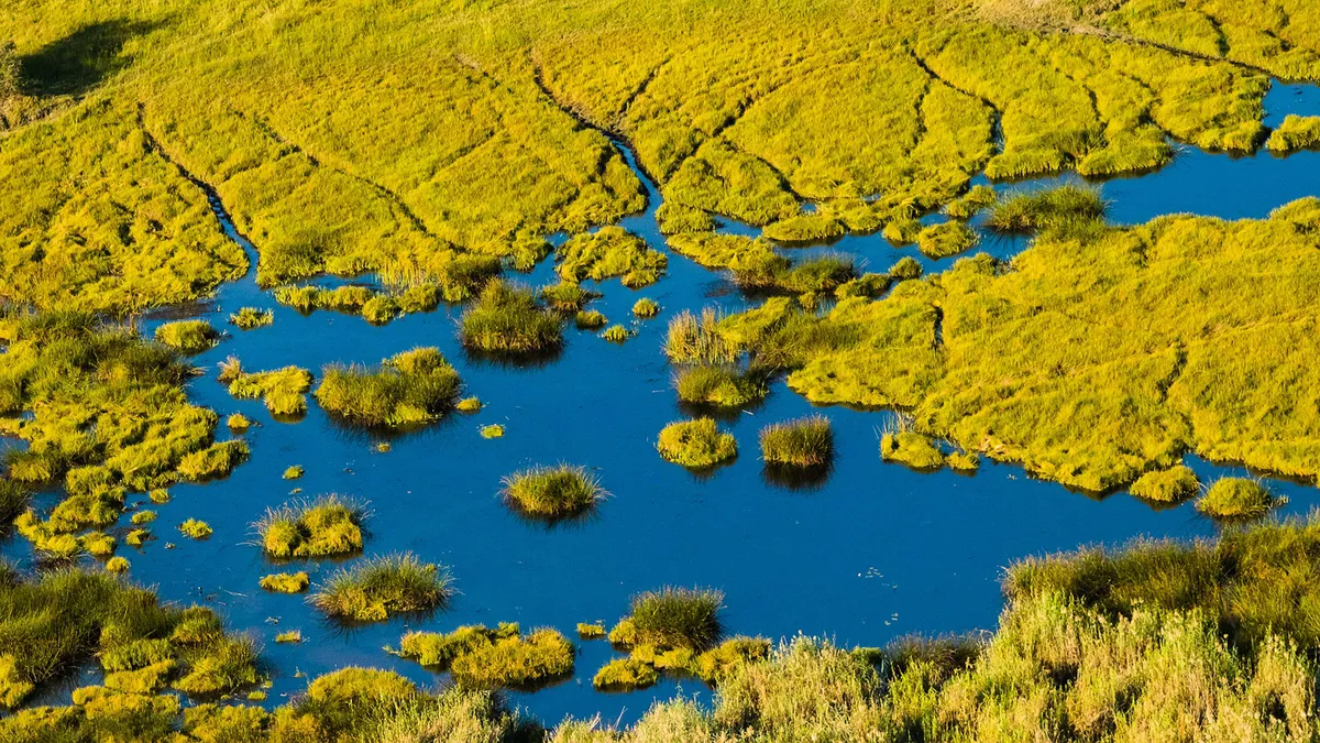 Okavango-Delta – Maun