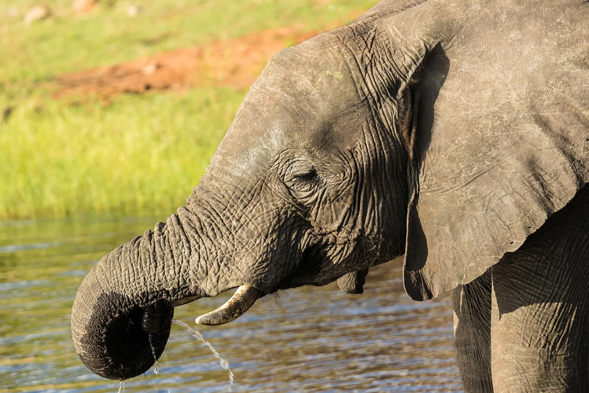 Gyerekbarát afrikai kalandtúra – Dél-afrikai Köztársaság