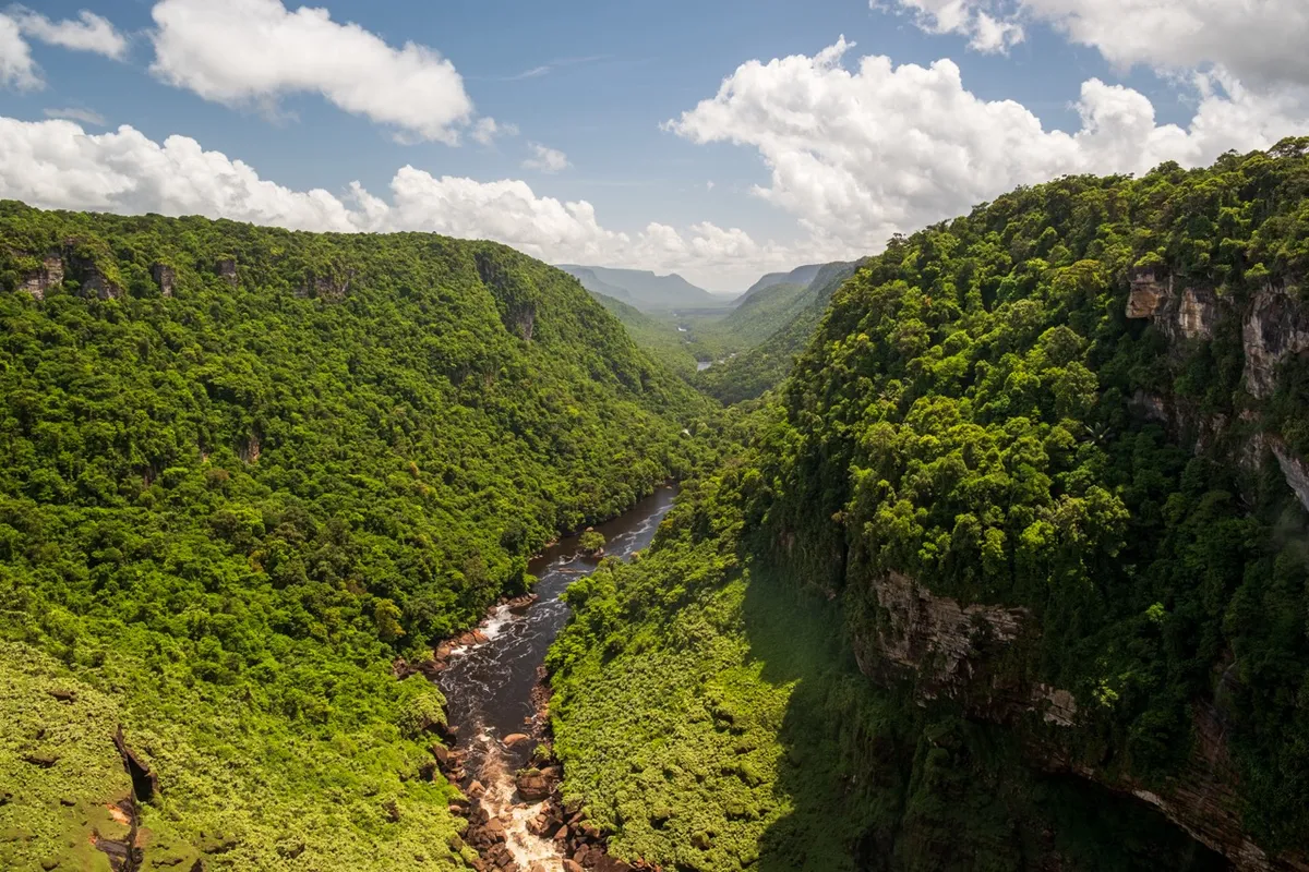 Guyana: Georgetown – Kaieteur Nemzeti Park – Kaieteur-vízesés
