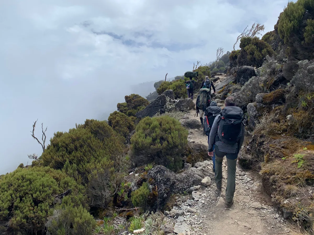 Machame tábor (3030 m) – Shira tábor (3850 m)