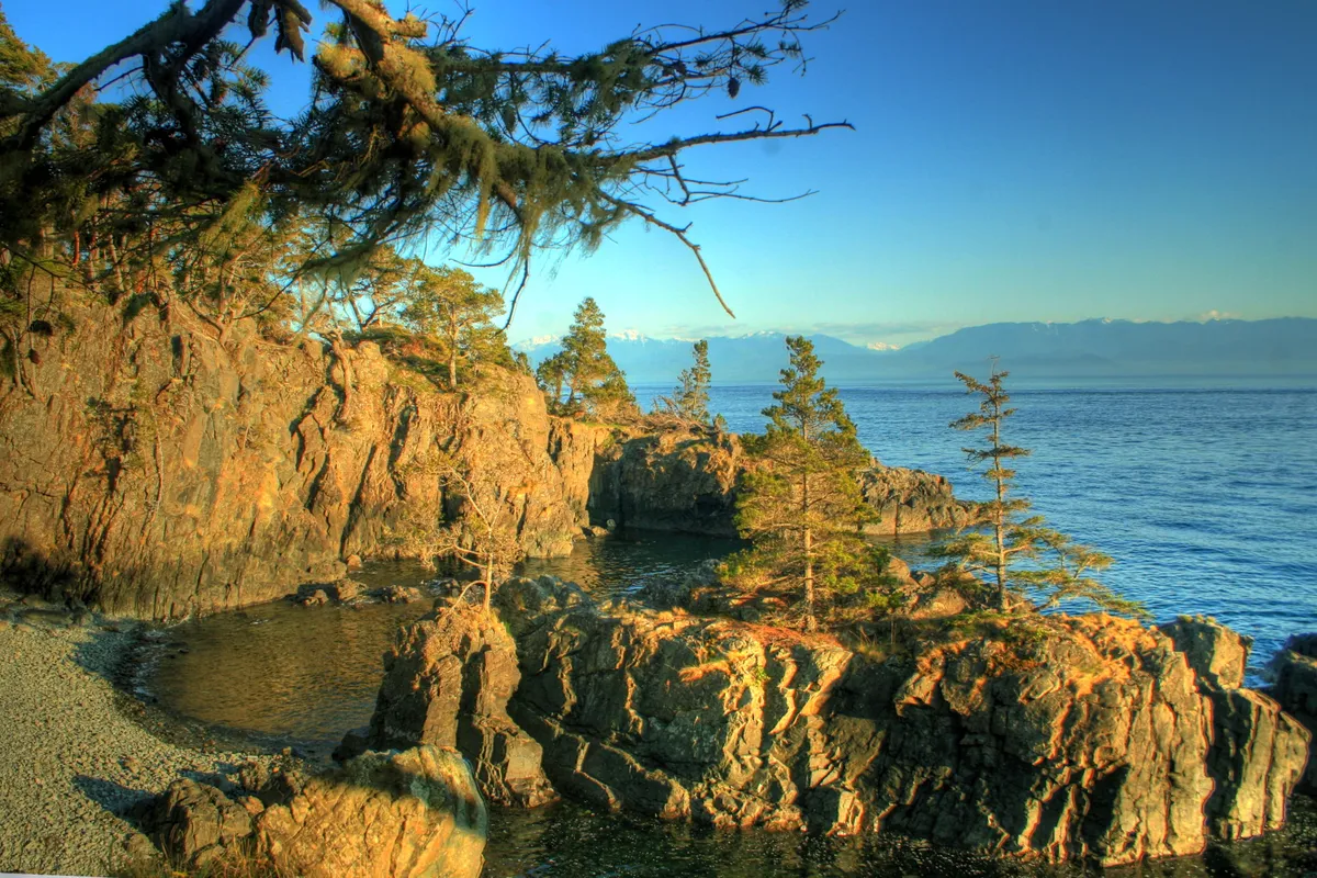 Vancouver-sziget – Victoria – Cathedral Grove Park – Pacific Rim Nemzeti Park