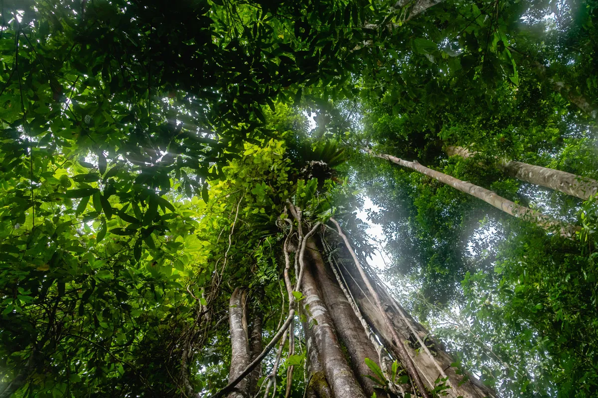 Szumátra: Lampung – Way Kambas Nemzeti Park