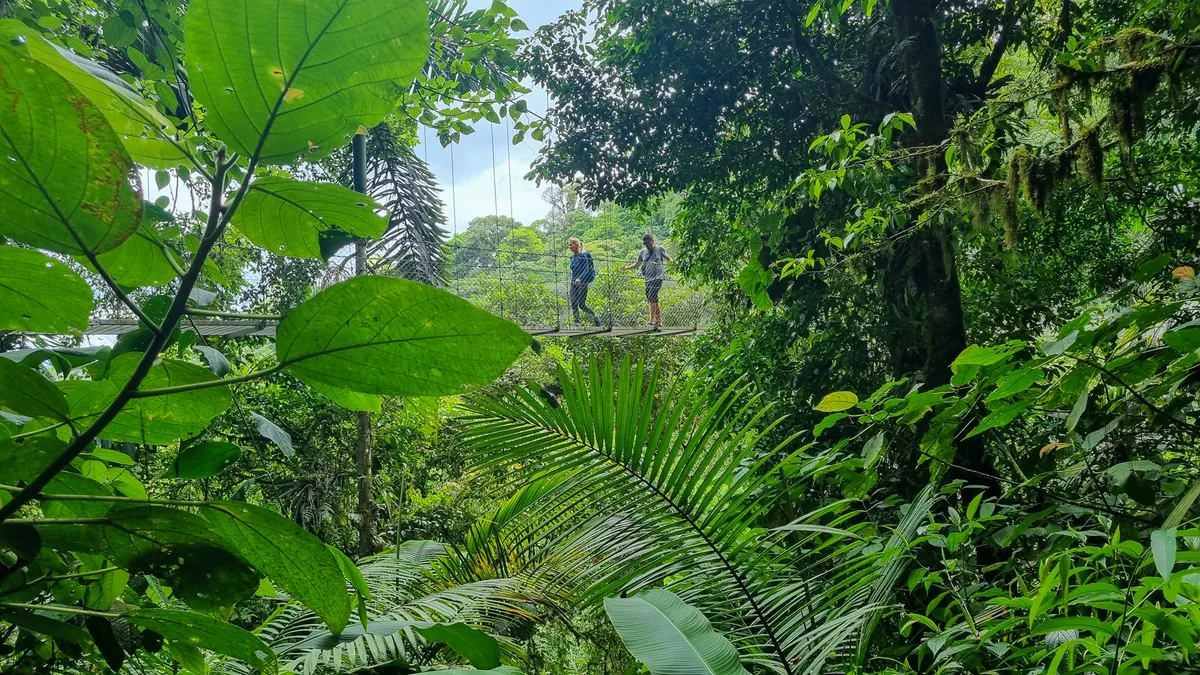 Monteverde Esőerdei Rezervátum