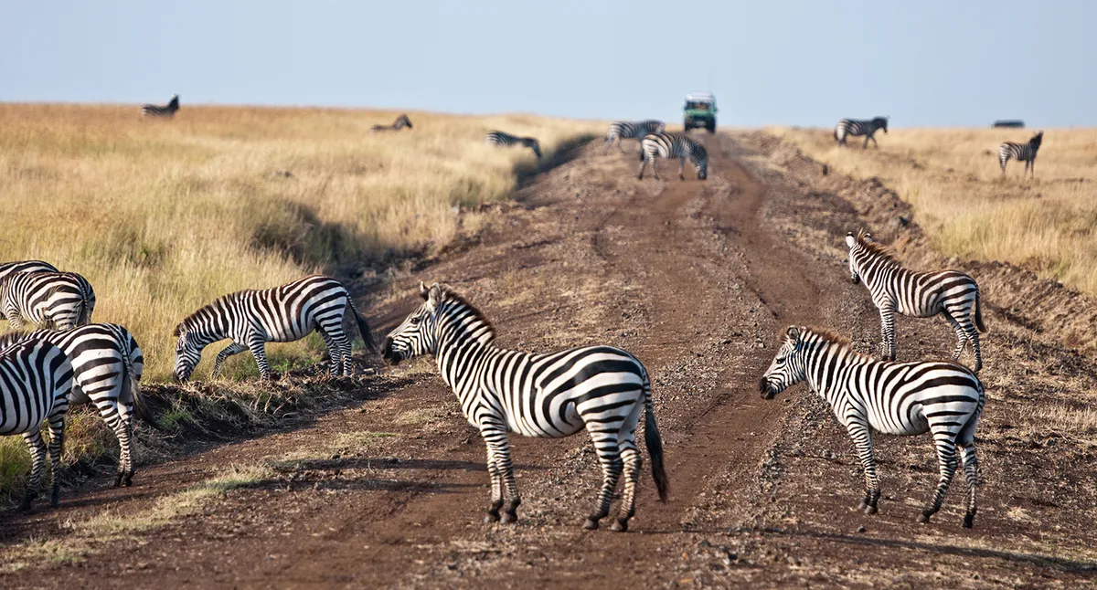 Amboseli Nemzeti Rezervátum – Taita Hills Vadrezervátum
