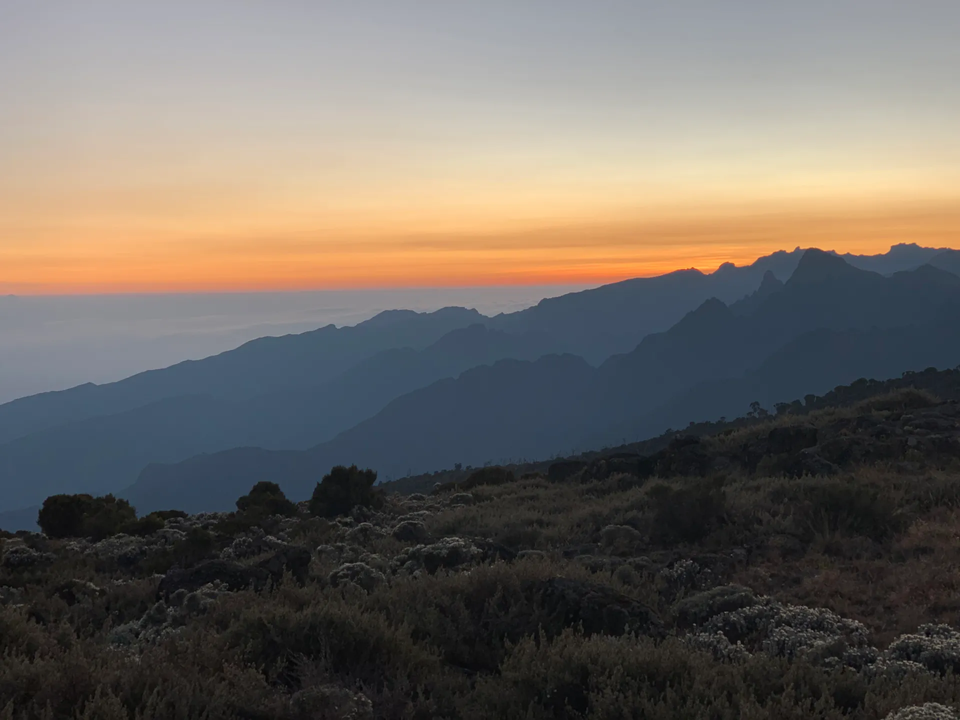Megmásztam a Kilimandzsárót! – 6. nap: Millenium tábor (3820 m) – Mweka kapu (1630 m) – Moshi 