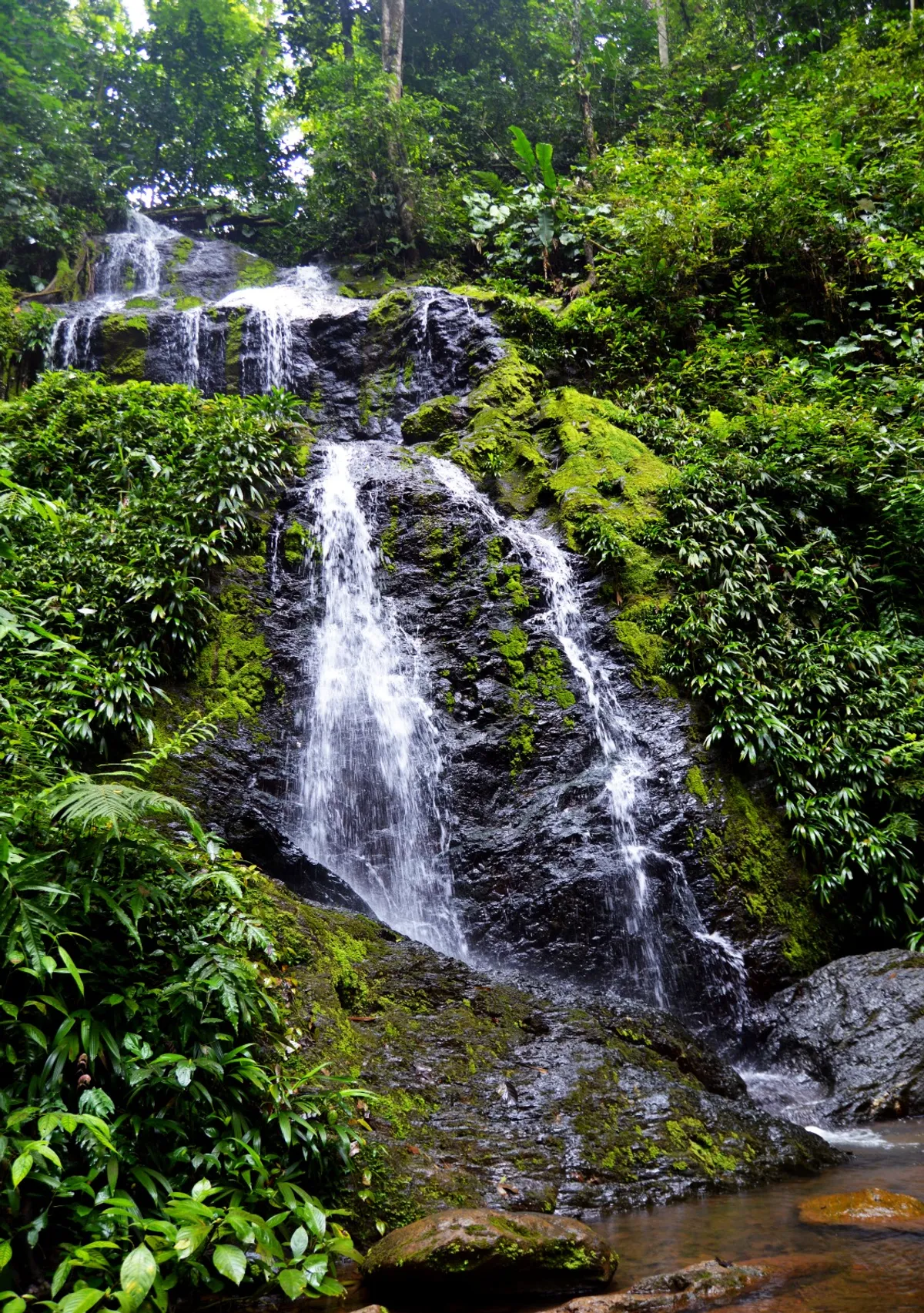 Suriname: Paramaribo – Brownsberg Nemzeti Park