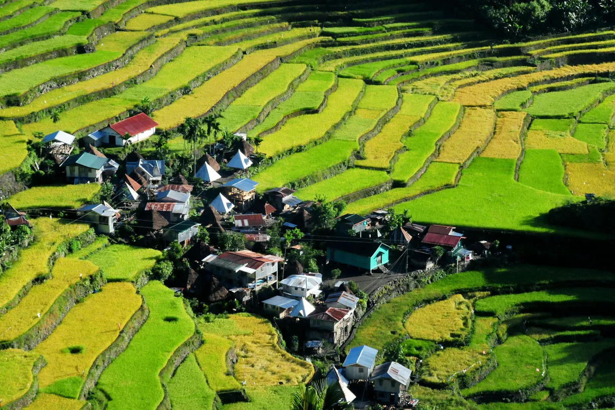 Luzon-sziget – Bula – Cambulo – Batad