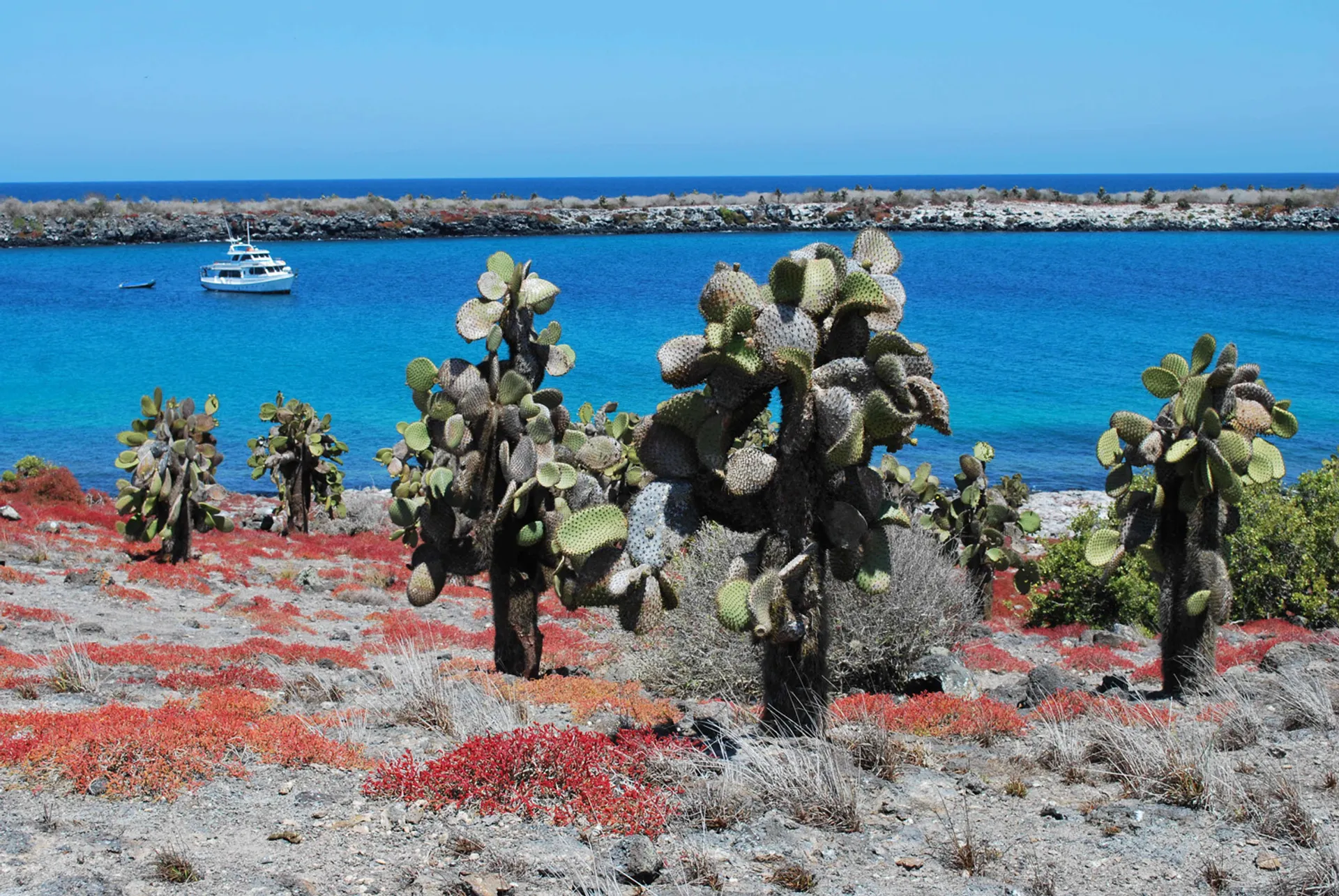 Ecuador – Galápagos-szigetek 8 napos hajóút