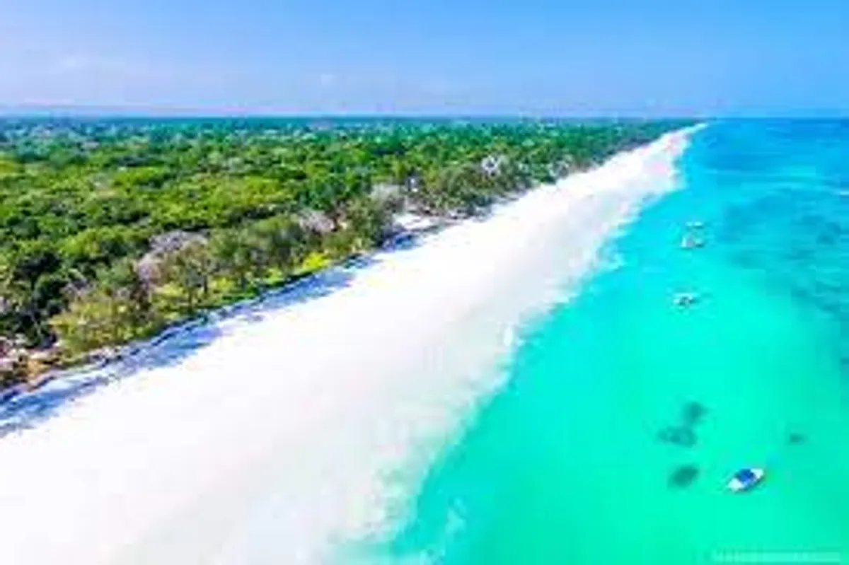 Taita Hills Vadrezervátum – Indiai-óceán: Diani Beach