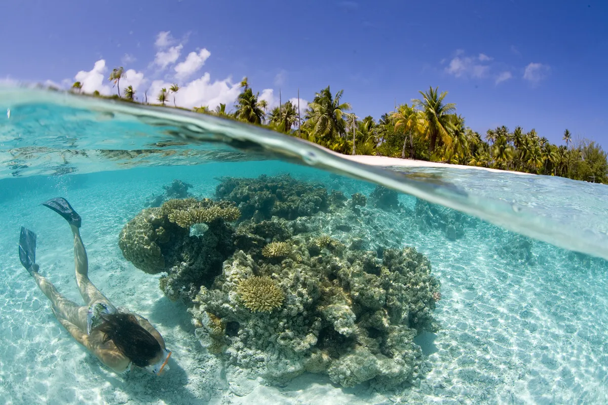 Raiatea sziget – Bora Bora sziget – tengerpart, strandolás