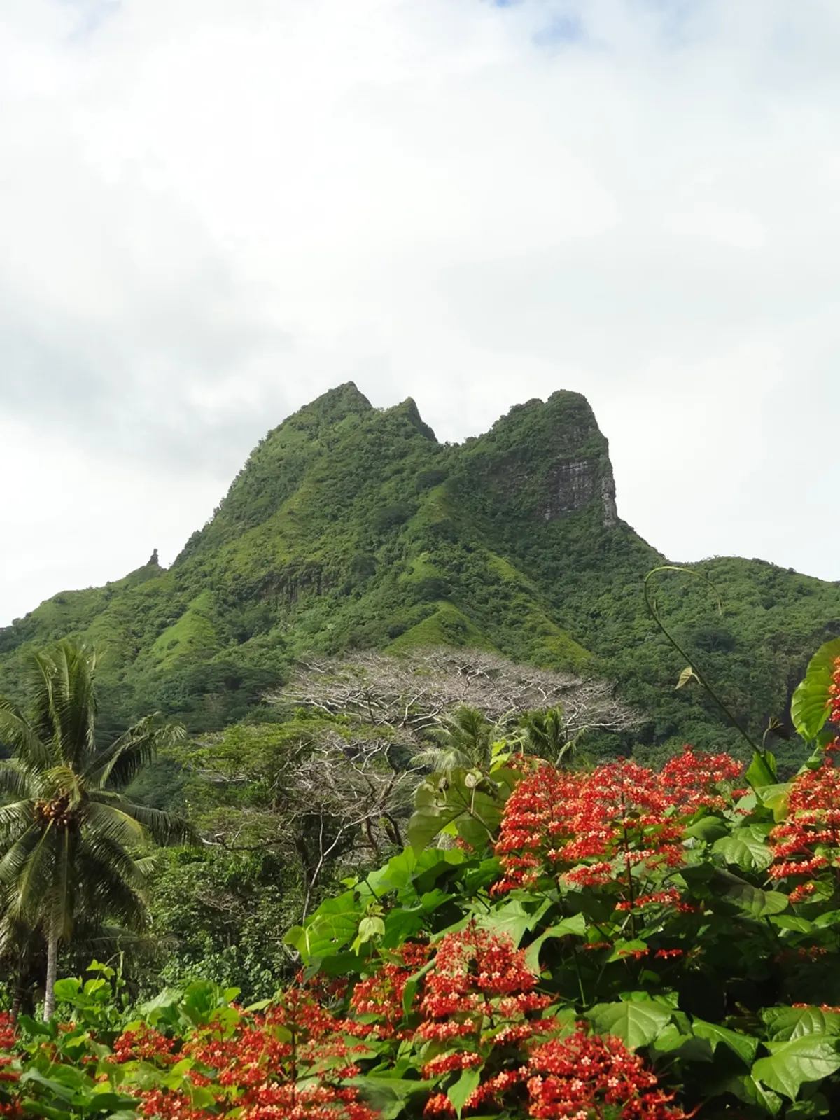 Raiatea sziget  – Taputapuatea marae régészeti park – tengerpart, strandolás