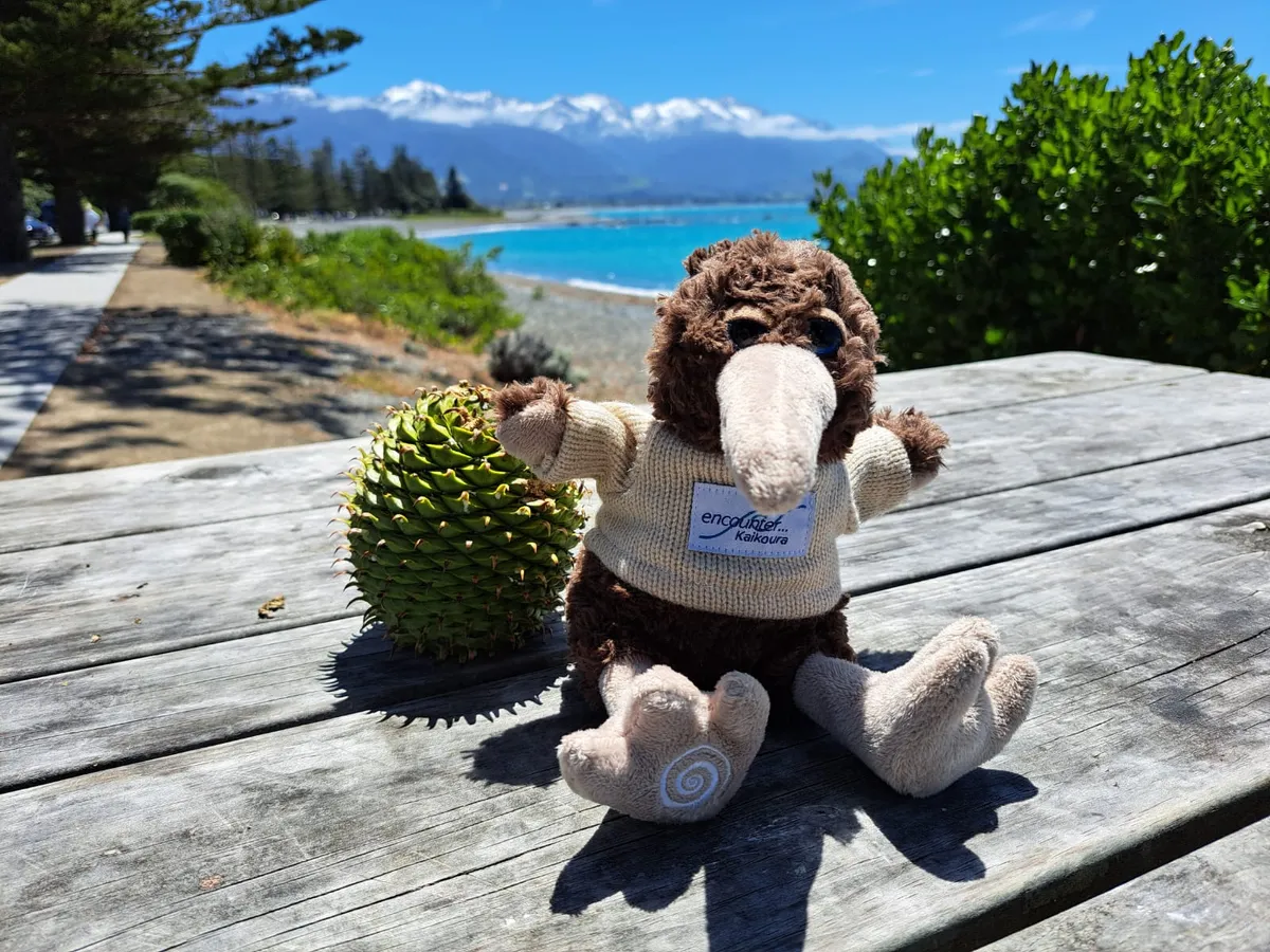 Kaikoura