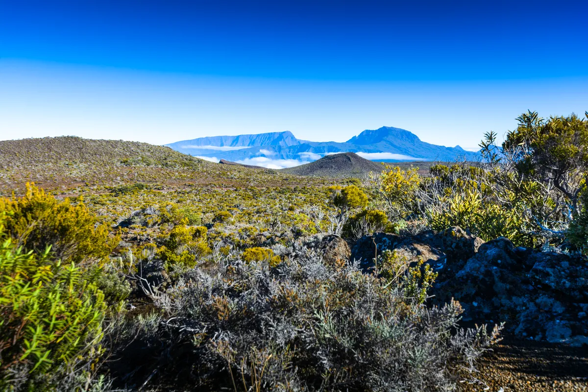 Marla (1576 m) – Cilaos-kaldera gyalogtúra: Taibit-hágó (2083 m) – Cilaos (1214 m)