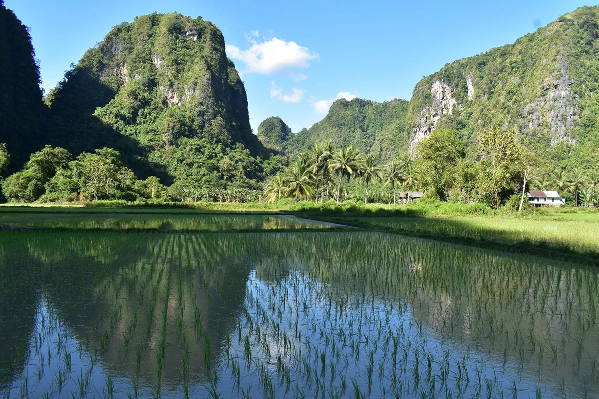 Celebesz: Makassar – Rantepao, Tana Toraja – Toradzsaföld