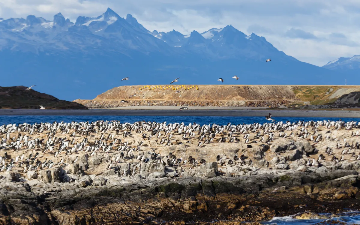 Ushuaia – Beagle-csatorna hajókirándulás – sétarepülés